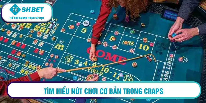 Craps là gì? Hướng dẫn chơi Craps chinh phục các đấu trường 3 Tìm hiểu nút chơi cơ bản trong craps
